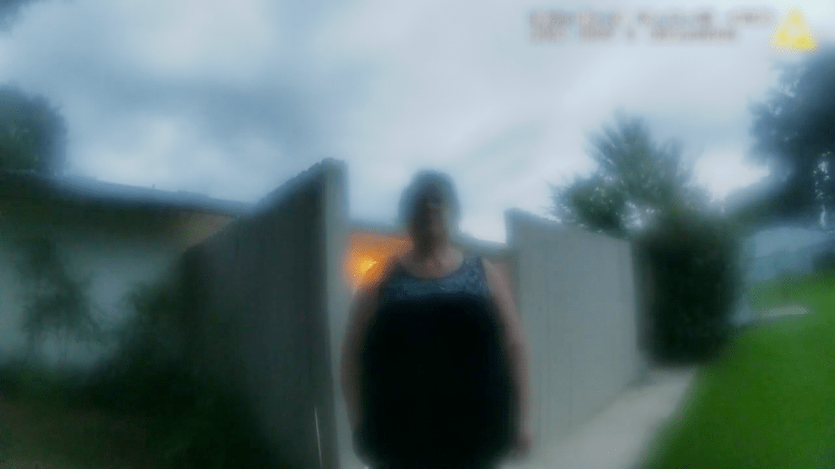 La vecina perfecta, de Geeta Gandbhir.